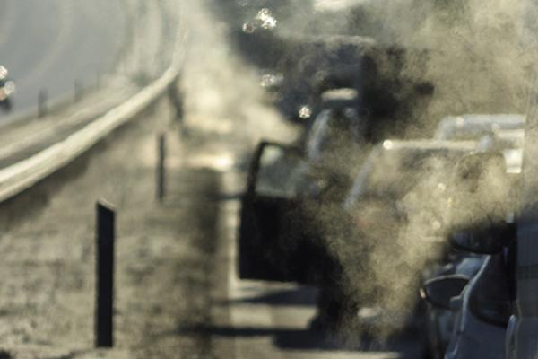 Image by Kim Hansen (Wikimedia Commons)