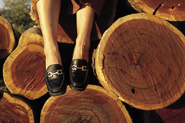 round sides of wood trunks, with fancy leather shoes 