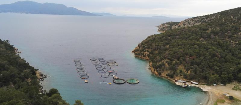 A drone view of a fish farm in a bay on Poros island