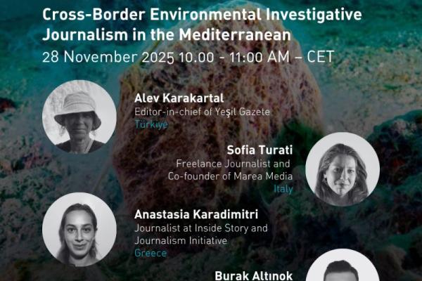 Amwaj: Waves of collaboration promotion poster