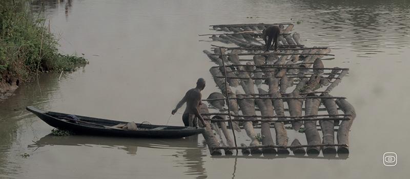 Loggers arranged logs on the river in Ikebiri, Bayelsa State