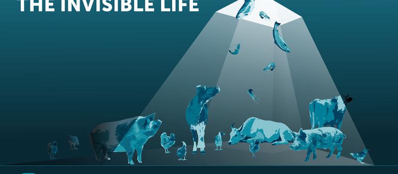 The Invisible Life