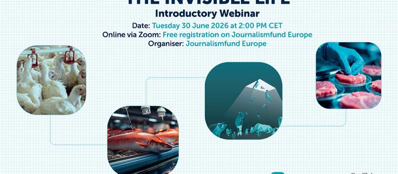 The Invisible Life Webinar
