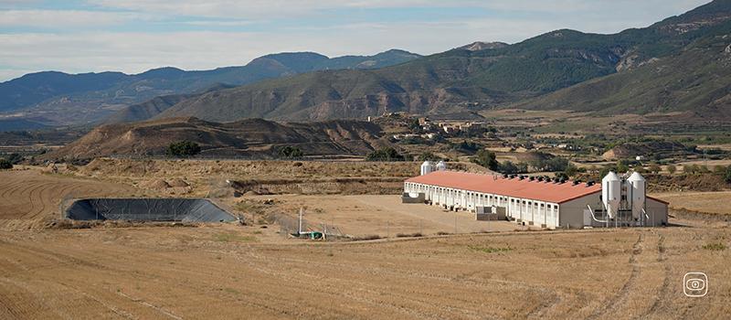 A large livestock farm in Spain