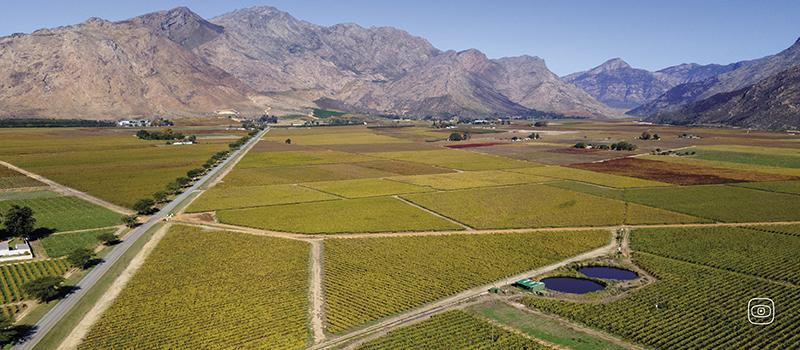 Fairtrade wineyards in South Africa under scrutiny