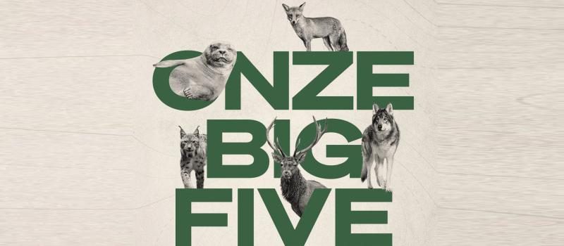 Onze Big Five